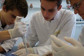 Arbeit im Gentechniklabor