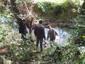 Ökologische Untersuchungen